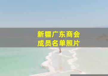 新疆广东商会成员名单照片