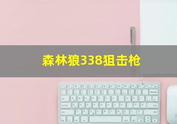 森林狼338狙击枪