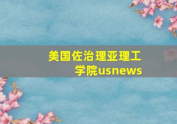 美国佐治理亚理工学院usnews